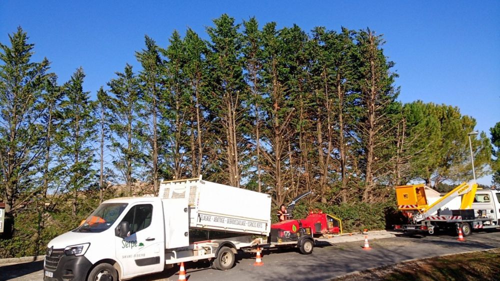 Montpellier - Taille de réduction au gabarit routier sur une haie de cyprès à Saint Drézéry.jpg